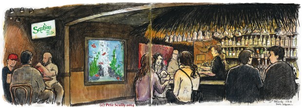 sophia's bar jan 2014 sm