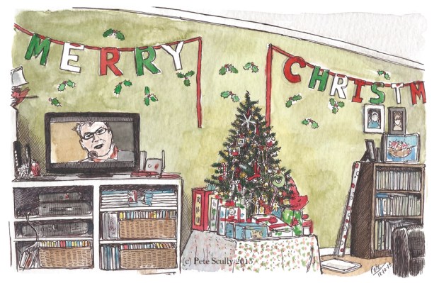 christmas living room dec2015 sm