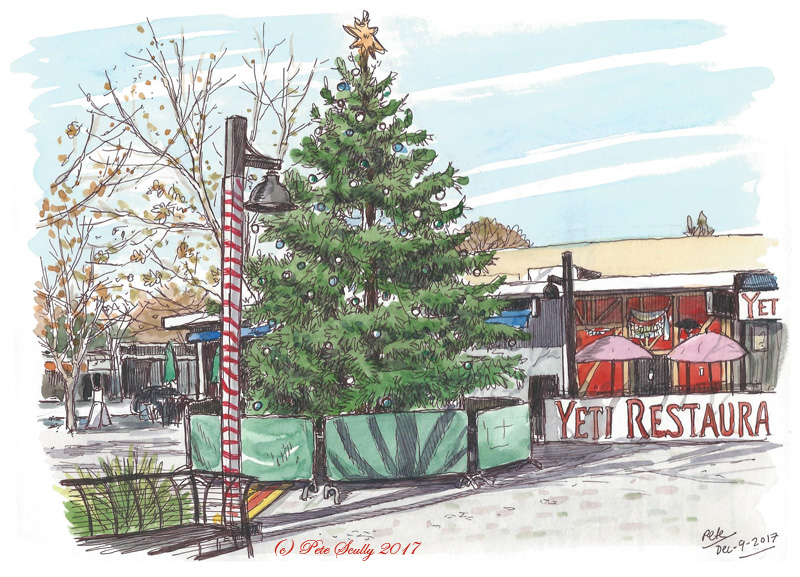 Davis Xmas Tree 2017 sm