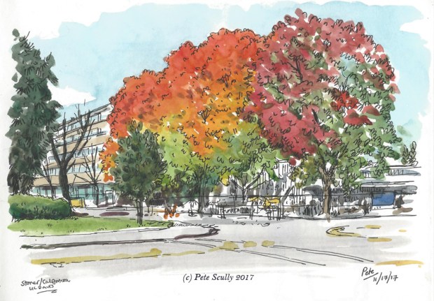 Autumnal Colours Hutchison UCD sm