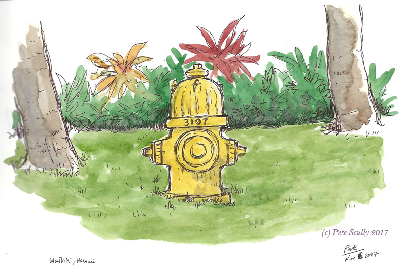 Waikiki hydrant sm